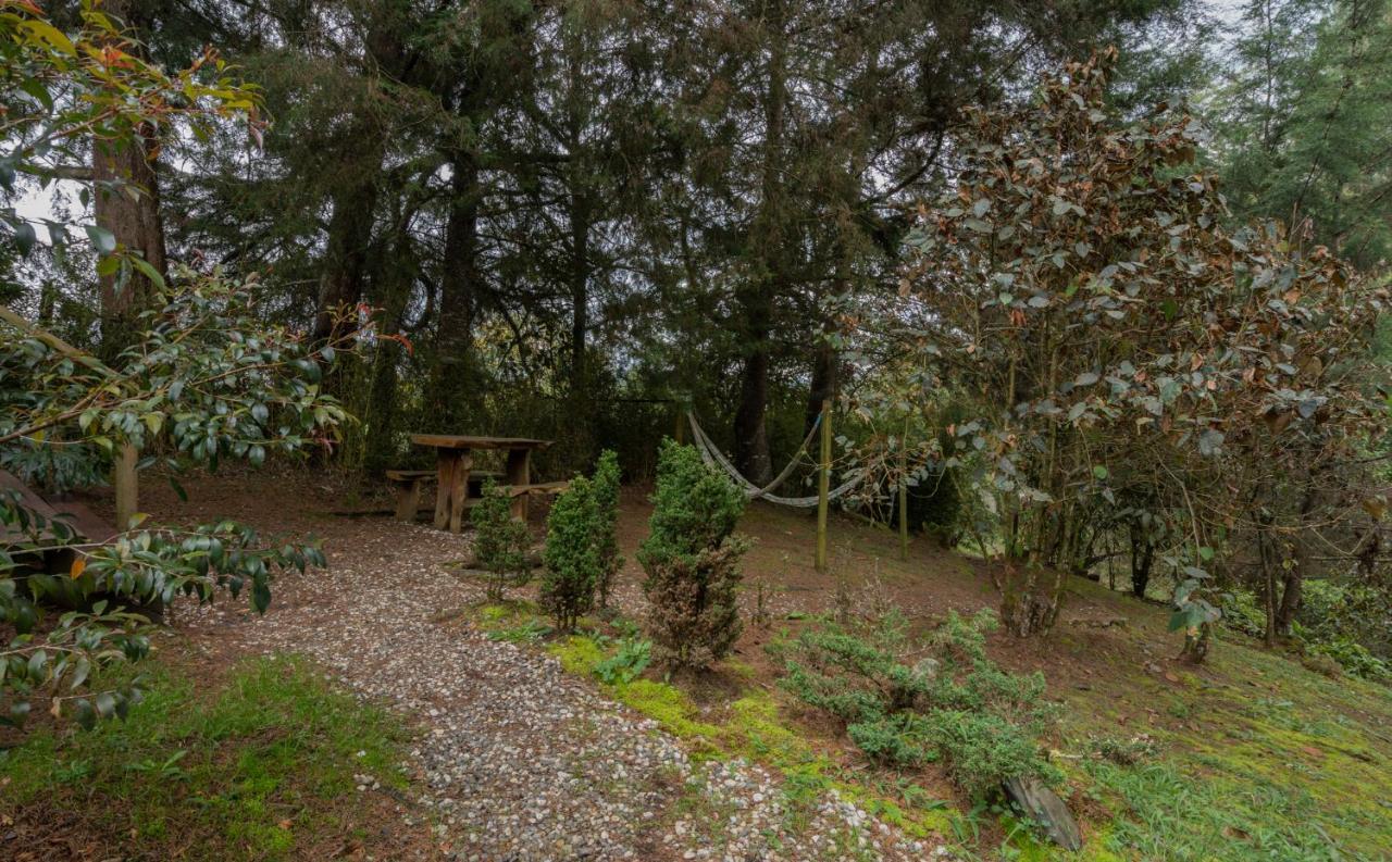 Bubblesky Glamping 40 Min From Medellin Hotel El Retiro  Exterior foto