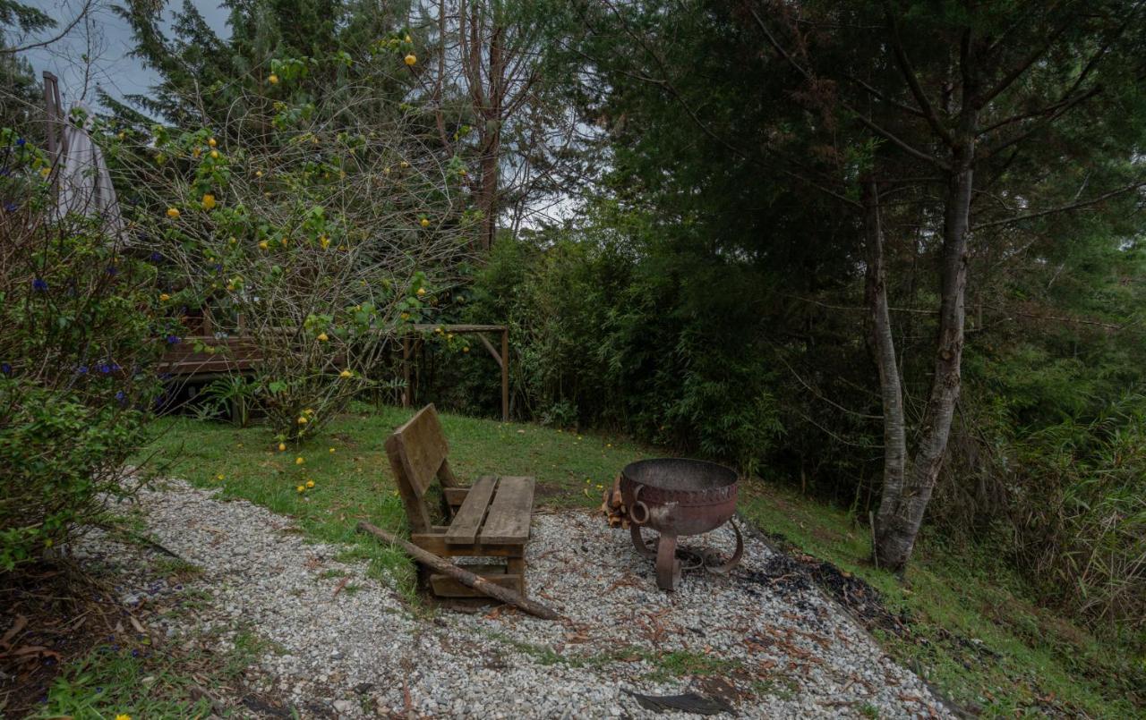 Bubblesky Glamping 40 Min From Medellin Hotel El Retiro  Exterior foto
